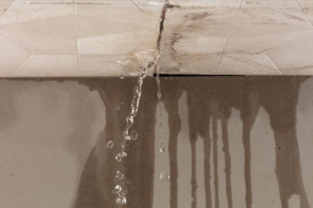 Professional Burst Pipe Cleanup technician working in Littlerock, WA